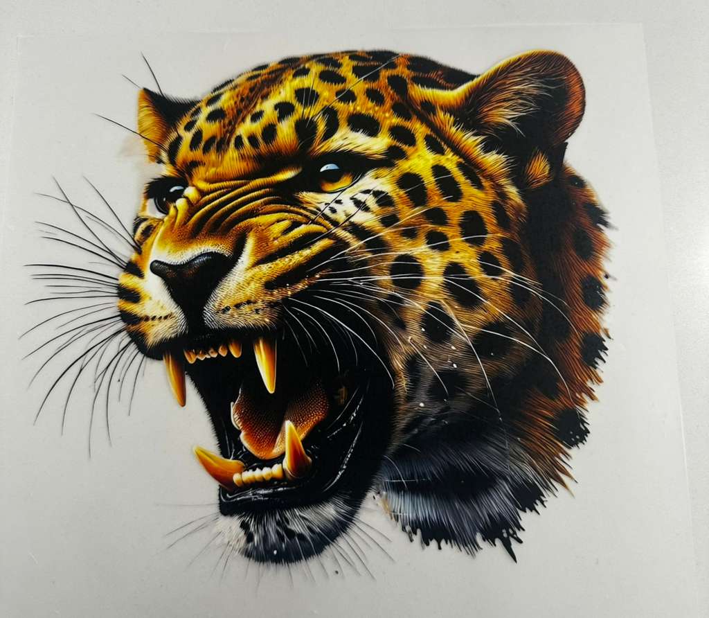 Custom DTF Designs / Diseños para camisas 👕