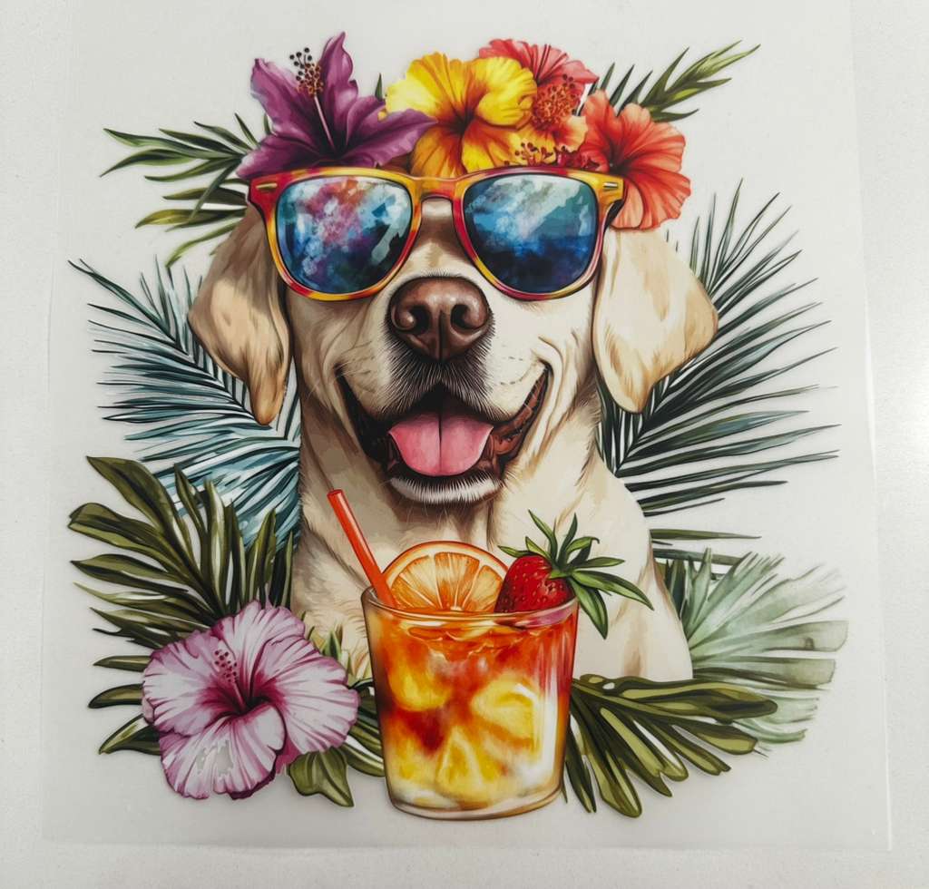 Custom DTF Designs / Diseños para camisas 👕