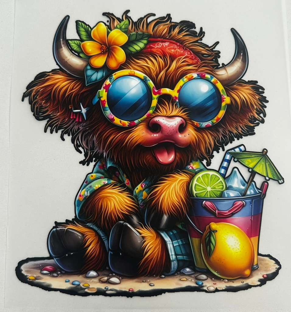 Custom DTF Designs / Diseños para camisas 👕